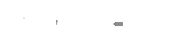 R.A.V.E.N.