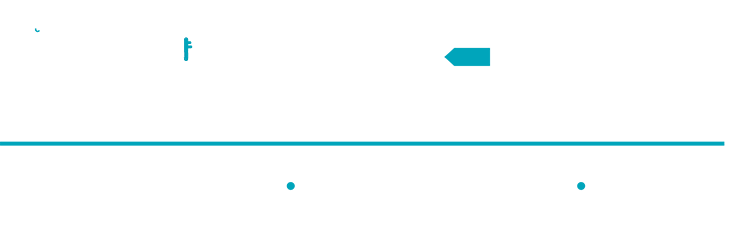 RAVEN wordmark